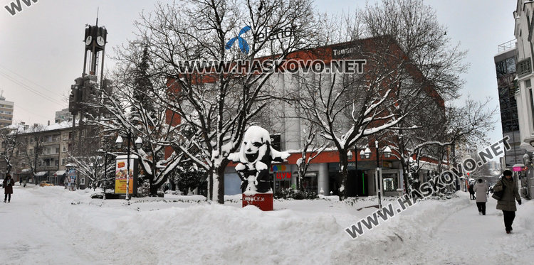 Хасковлии раздвоени за чистенето на общинския сняг