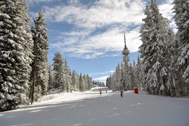 Пампорово пълно с туристи, туристи се радват на сняг над метър и перфектни писти