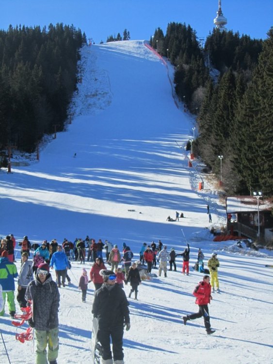 Ски празник "Сподели усещането" организира днес "Спешъл Олимпикс" в Пампорово