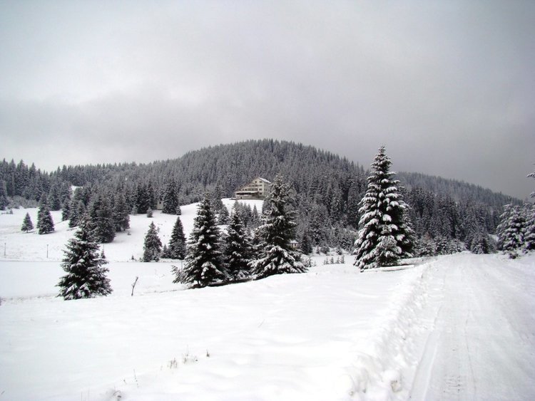 Шест сигнала за помощ, огнеборци носиха лекарства на бедстващи в хотел в местността "Хайдушки поляни"