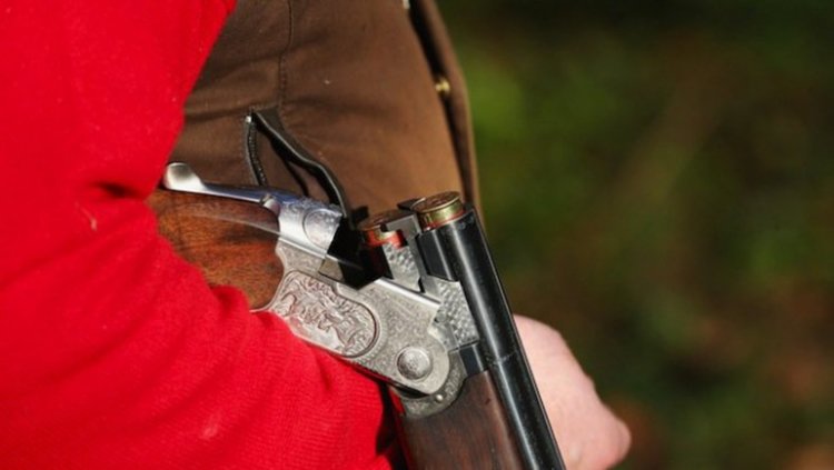 Неизвестен застреля две скитащи кучета в района на "Арексим"