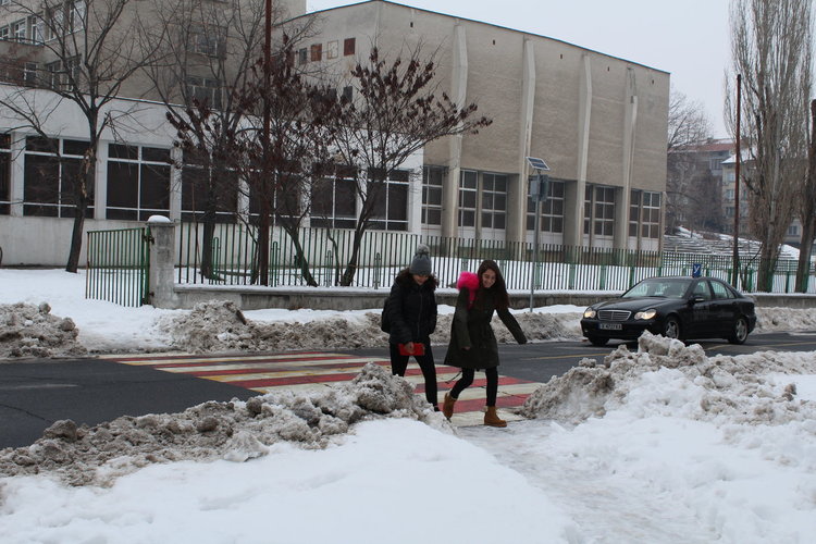 Общината: зебрата до „Паисий“ е почистена още вчера