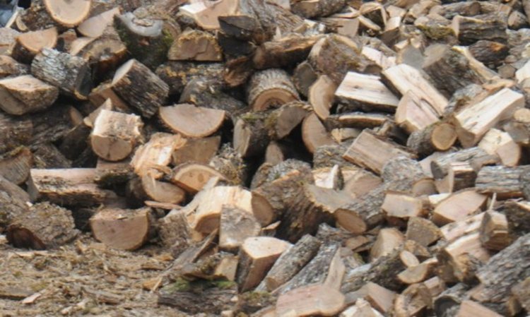Заради студа: Надуха цените на дървата, дават по малко – да има за всички