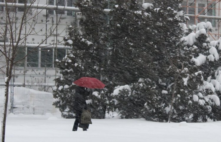 Усложнява се зимната обстановка в Хасковски регион, очакват се поледици