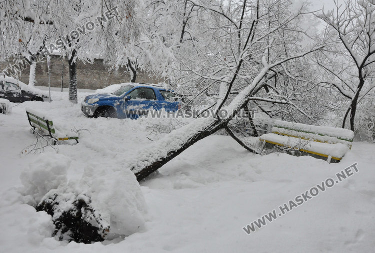 Аудито е зад пейката и почти не се вижда от снега