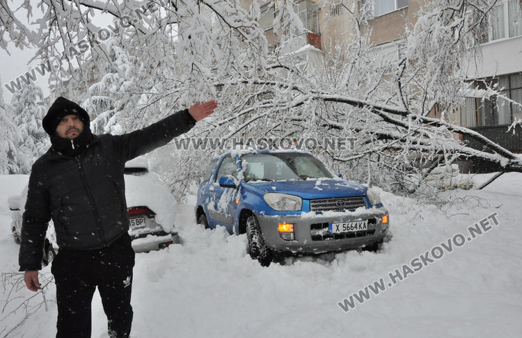 Дърво рухна под тежестта на снега и затисна три коли на “Булаир” 