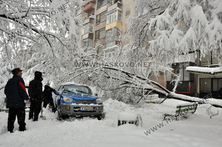 Дърво рухна под тежестта на снега и затисна три коли на “Булаир” 