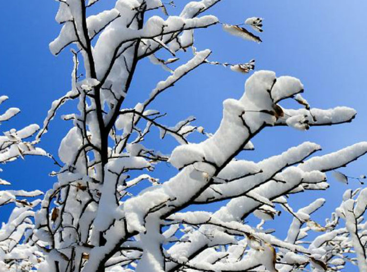 Валежите спират, облачността се разкъсва 