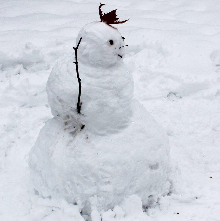 Уъркшоп разкрива тайната на перфектния снежен човек в Димитровград