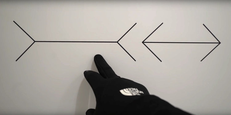 Парад на чудатостите и изложение на оптичните илюзии в Любляна (видео)