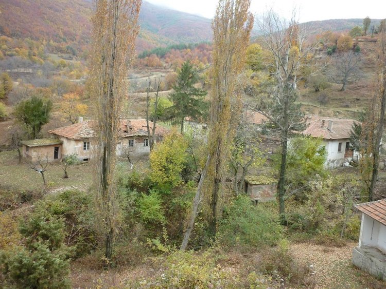 Изнесени приемни организира в област Кърджали местната служба за съвети в земеделието