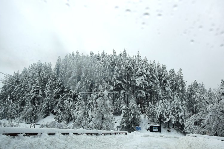 Около 1 метър е снежната покривка на Далджа