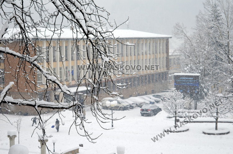 Шест автомобила пристигат в Областната дирекция на МВР в Смолян