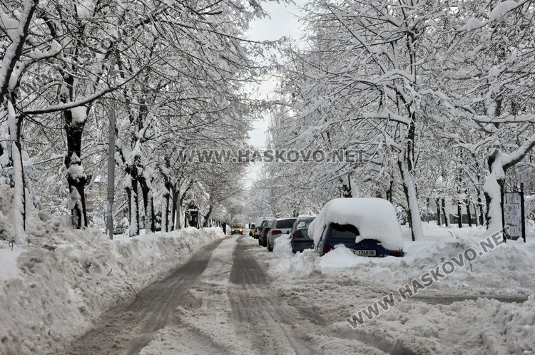 Хасковският шофьор от глоби се не плаши, колите пак на забранено на улиците