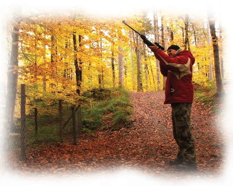   Въведоха отново забрана за лов на диви птици в Кърджалийско, птичи грип мори във ферма край „Студен кладенец“