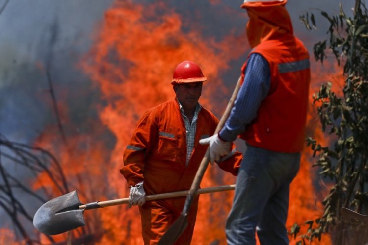 Опустошителни горски пожари бушуват в Чили