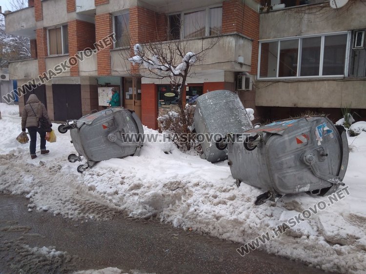 читателска снимка 