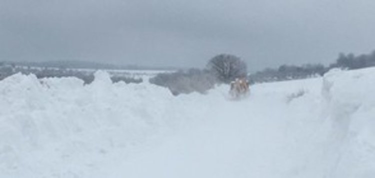 Климатолог: През февруари ще има затопляне 