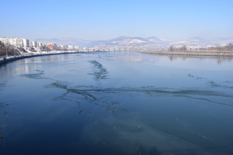 Водното огледало замръзна под Въжения мост,чапловата колония също