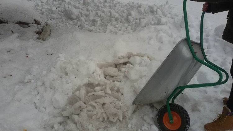 Младежи доброволци чистиха снега пред Старческия дом