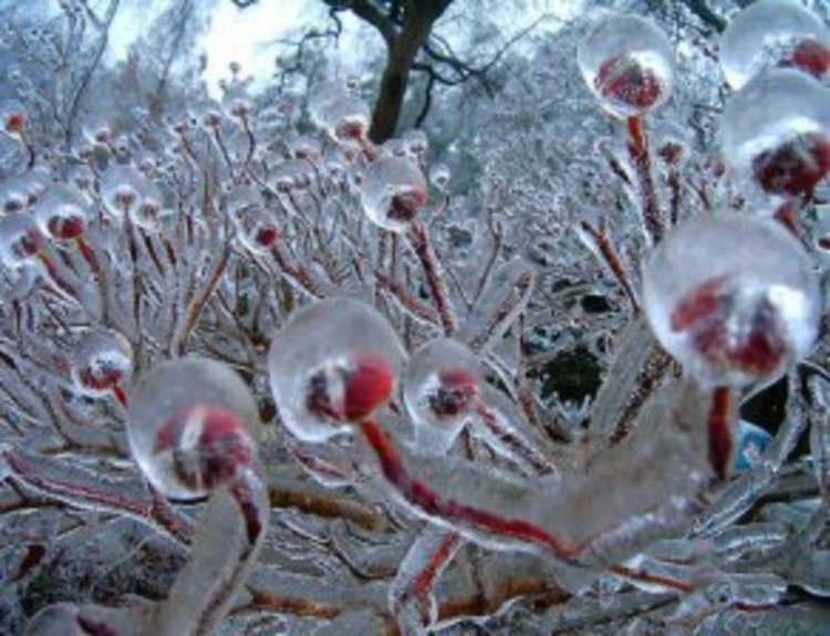 Последният януарски ден на 2017-а ще е слънчев и студен