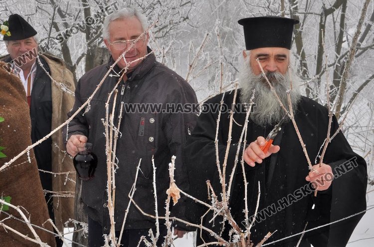 Цар на лозята избраха в Голямо Асеново на Трифоновден
