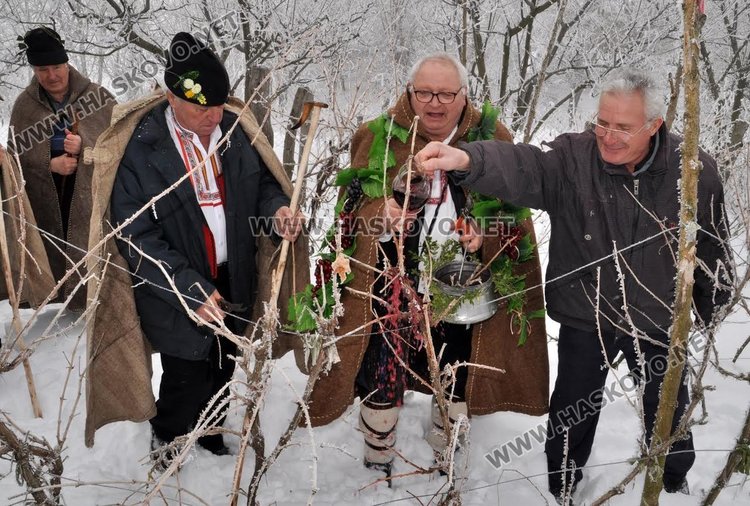 Цар на лозята избраха в Голямо Асеново на Трифоновден