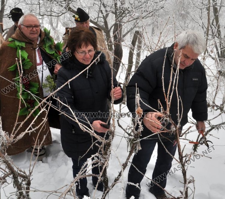 Цар на лозята избраха в Голямо Асеново на Трифоновден