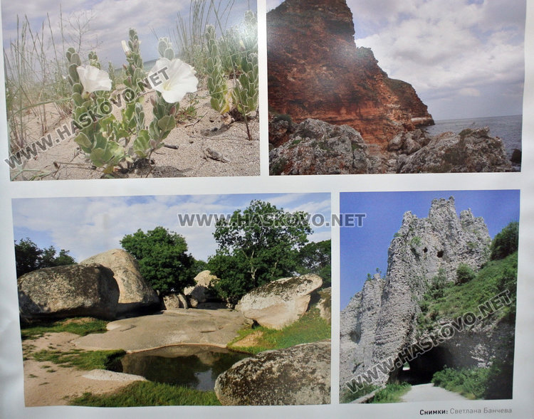 Българската природа е уникална и сравнително добре запазена в Европа, сочи проучване на БАН