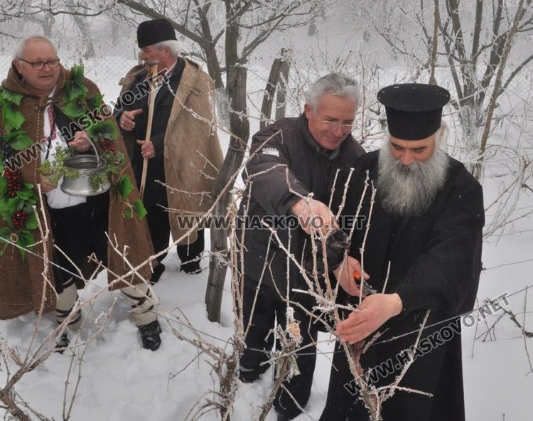 Цар на лозята избраха в Голямо Асеново на Трифоновден