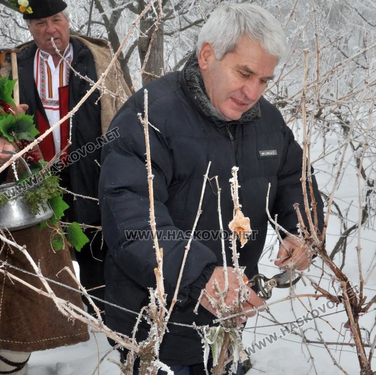 Цар на лозята избраха в Голямо Асеново на Трифоновден