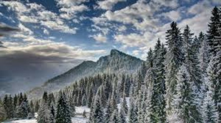 Майстори на четката се събират за Първи пленер по живопис “Пампорово`2017”