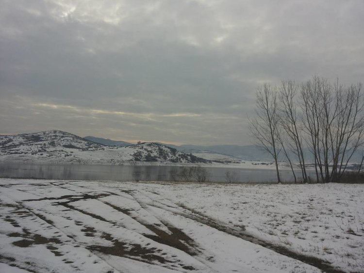 Снимка: Борислав Георгиев