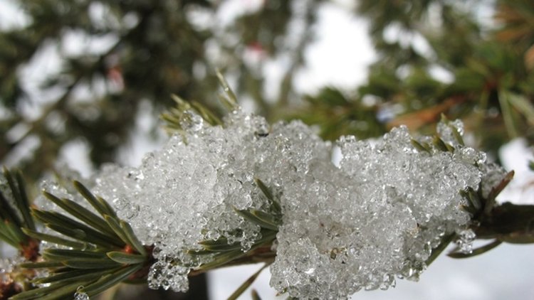 Севернякът носи дъжд на юг и сваля температурите