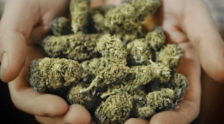 Задържаха млад мъж заради марихуана