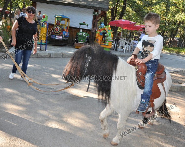 Понитата били използвани за атракция на деца. Снимка: архив