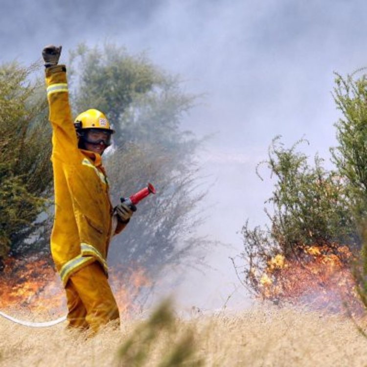 Жега предизвика десетки пожари в Австралия