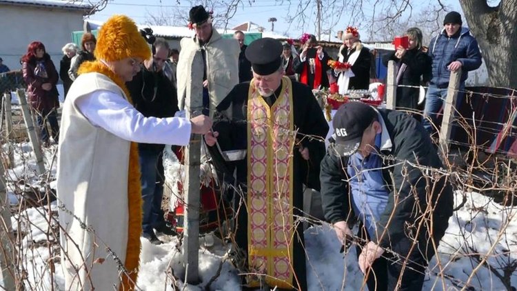 В Дълбок извор избраха Цар на виното
