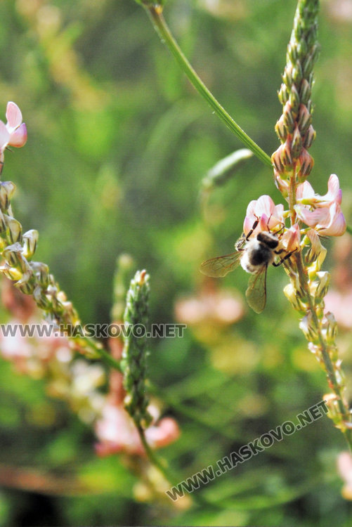 Ученичка от Езиковата ни показва нещата, които не забелязваме