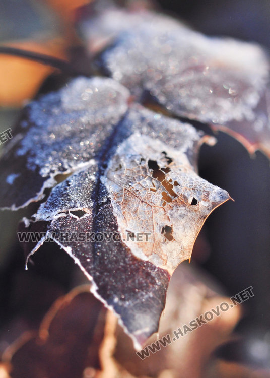 Ученичка от Езиковата ни показва нещата, които не забелязваме