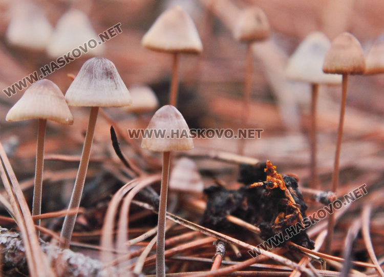 Ученичка от Езиковата ни показва нещата, които не забелязваме