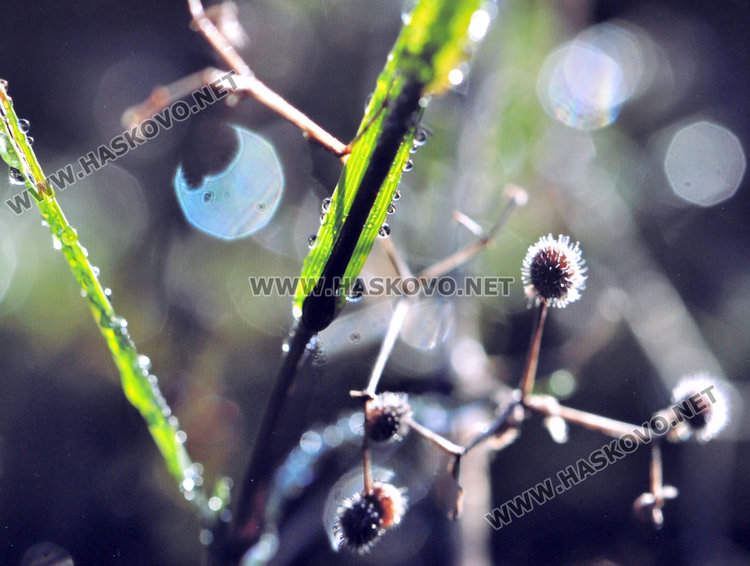 Ученичка от Езиковата ни показва нещата, които не забелязваме