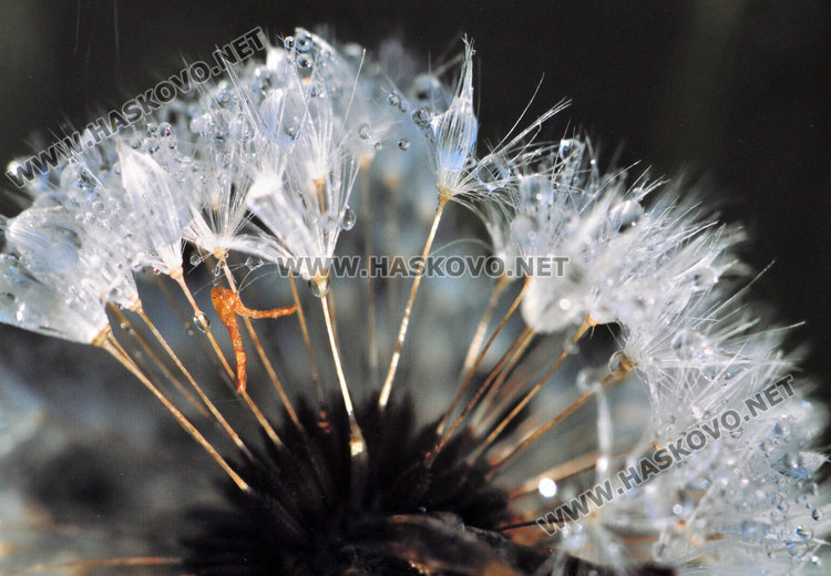 Ученичка от Езиковата ни показва нещата, които не забелязваме