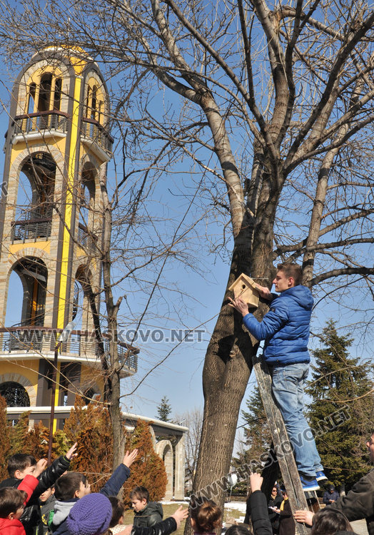 Шест къщички за птици качиха на дърветата на Ямача третокласници
