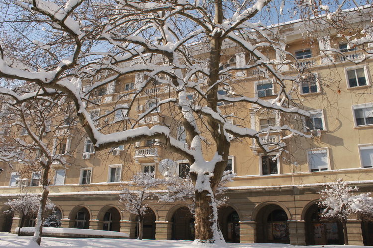 Част от проекта засяга основно обновяване на жилищните сгради по бул."България"