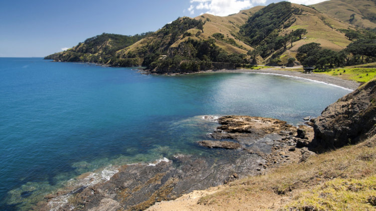 Под Нова Зеландия лежи осмият континент на планетата?