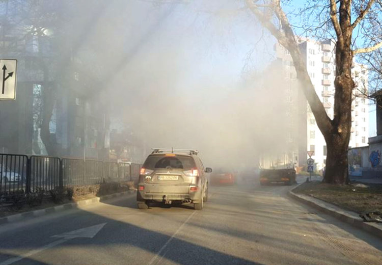 Такива снимки споделяха със съгражданите си възмутени асеновградчани.