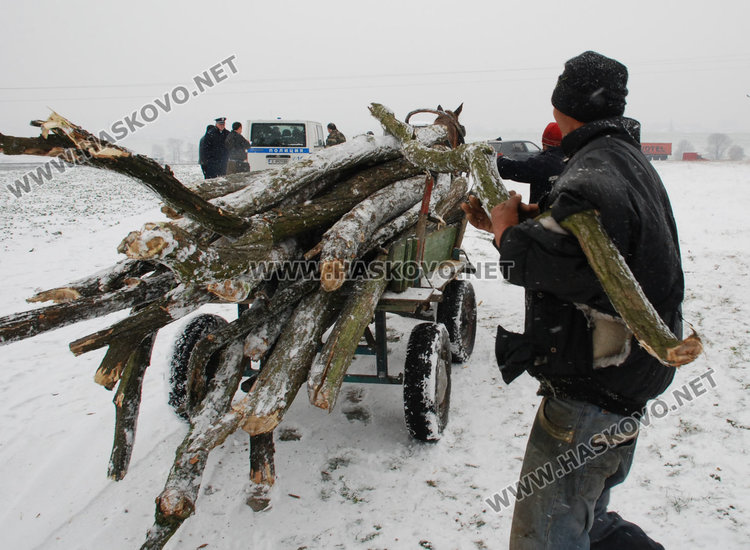 Нагли бракониери влачат дърва от гората с Мерцедес
