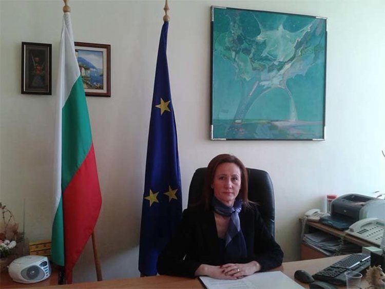 НАП: Гражданите и фирмите могат да коригират дължимия данък 