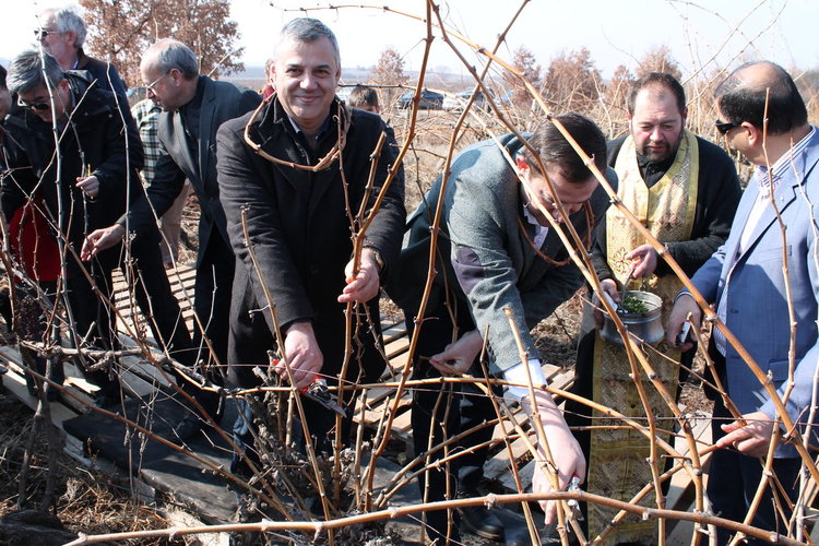 Областният управител, дипломати и бизнесмени заразяха лозята край Коларово